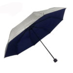 Budget Umbrella