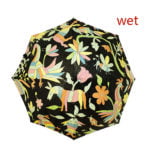 Color Change Umbrella When Wet