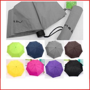 Foldable Budget Umbrella