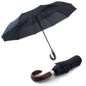 Wooden handle umbrella