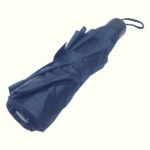 Best One Dolar Budget Umbrella