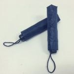 One Dolar Budget Umbrella