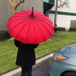 Pagoda Style Rain Umbrella