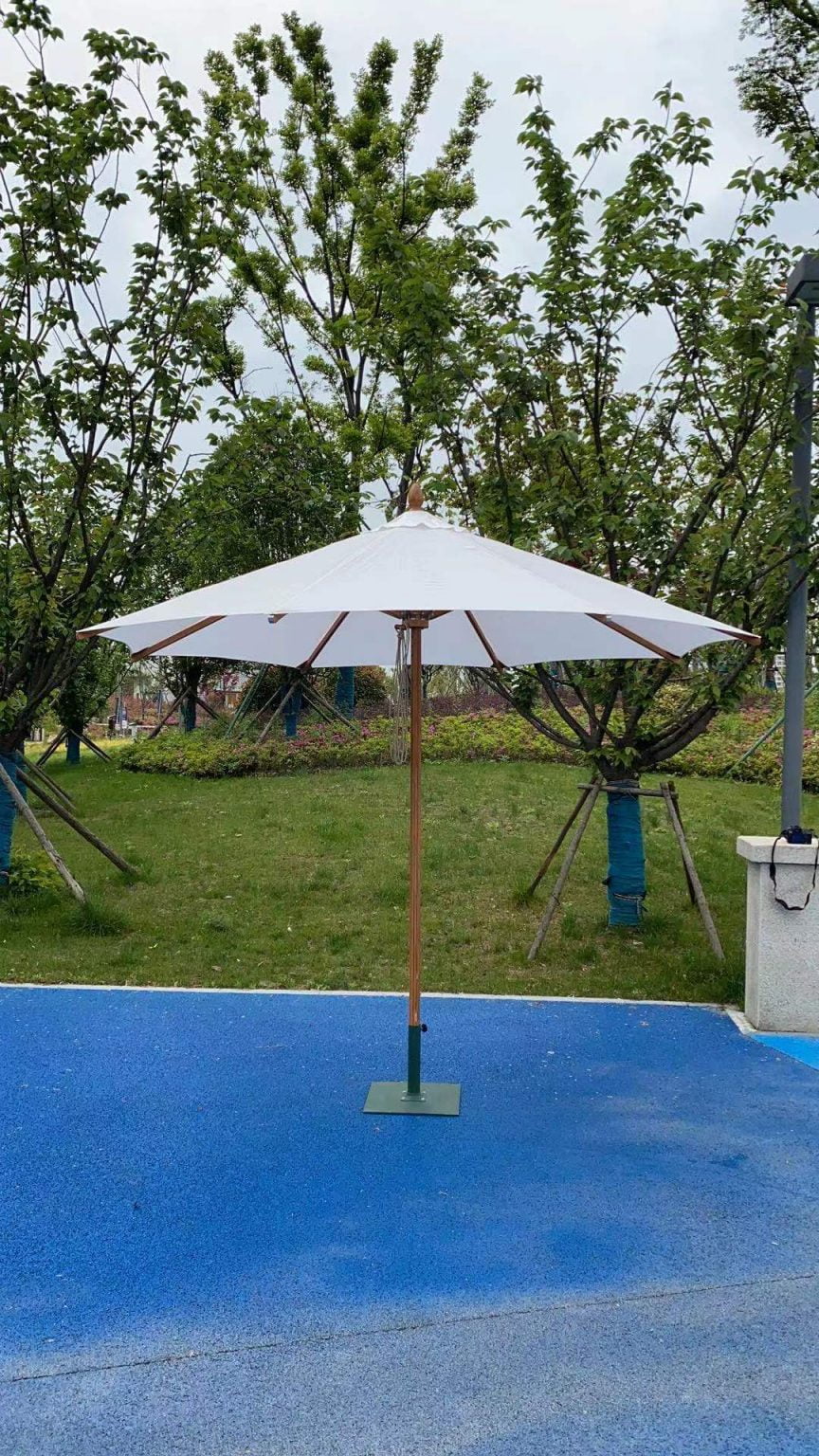 Ultimate buying guide for parasol Hfbrolly