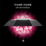 Double Layer Small Black Umbrella