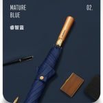 wooden handle umbrella