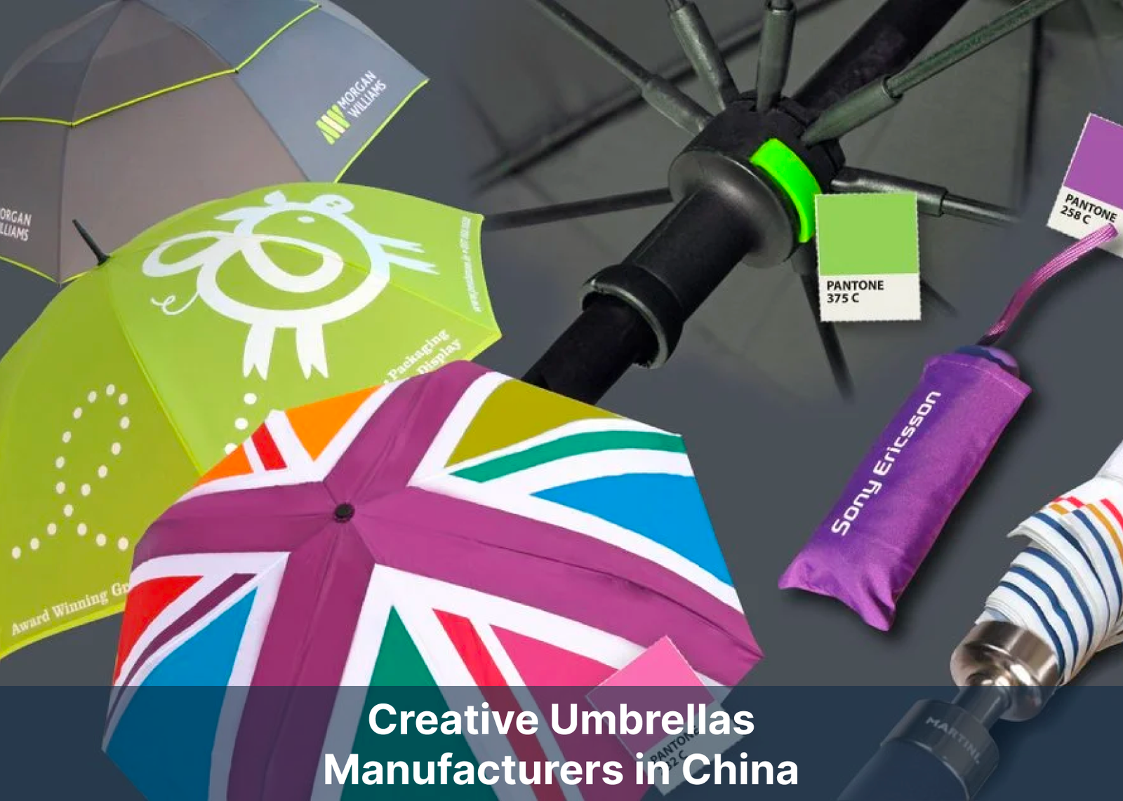 Wholesale Creative Umbrella Deals in China