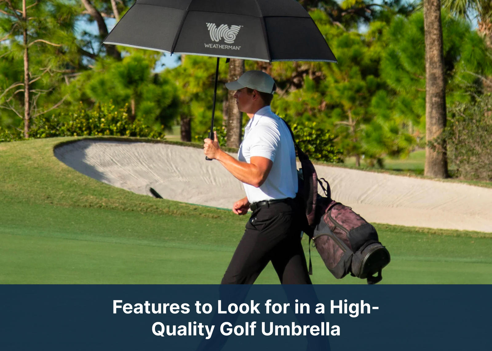 Features to Look for in a High-Quality Golf Umbrella