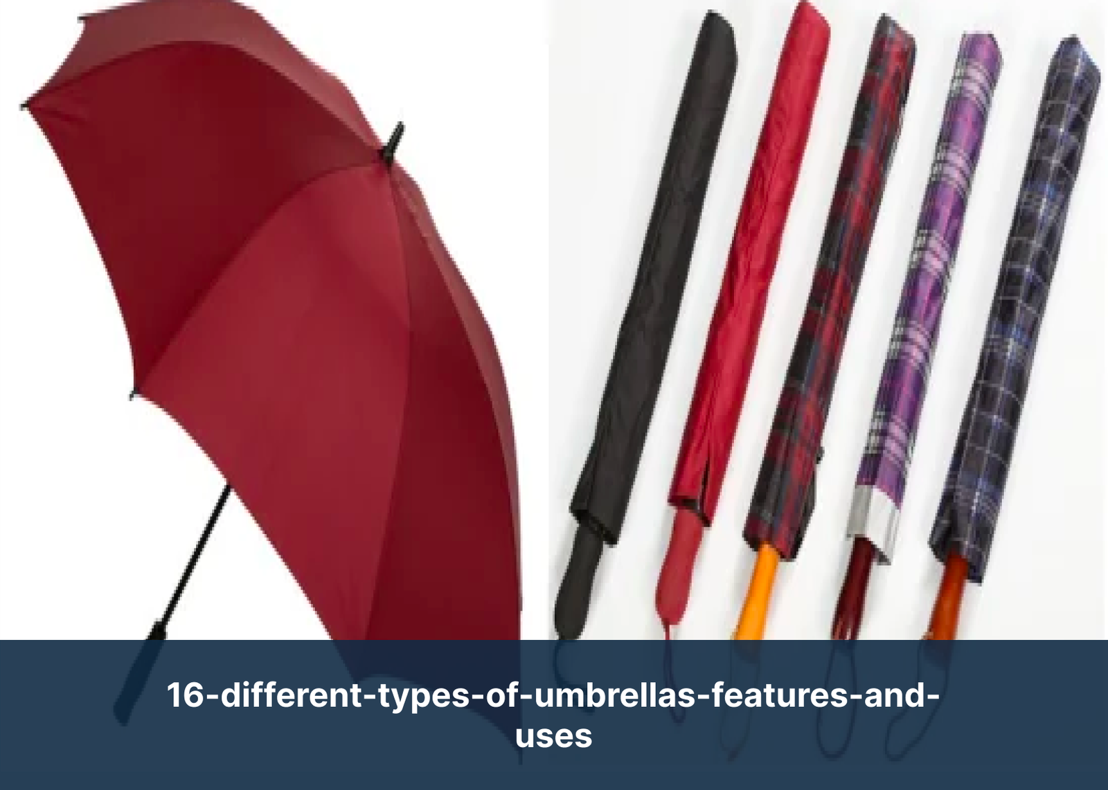 16-different-types-of-umbrellas-features-and-uses