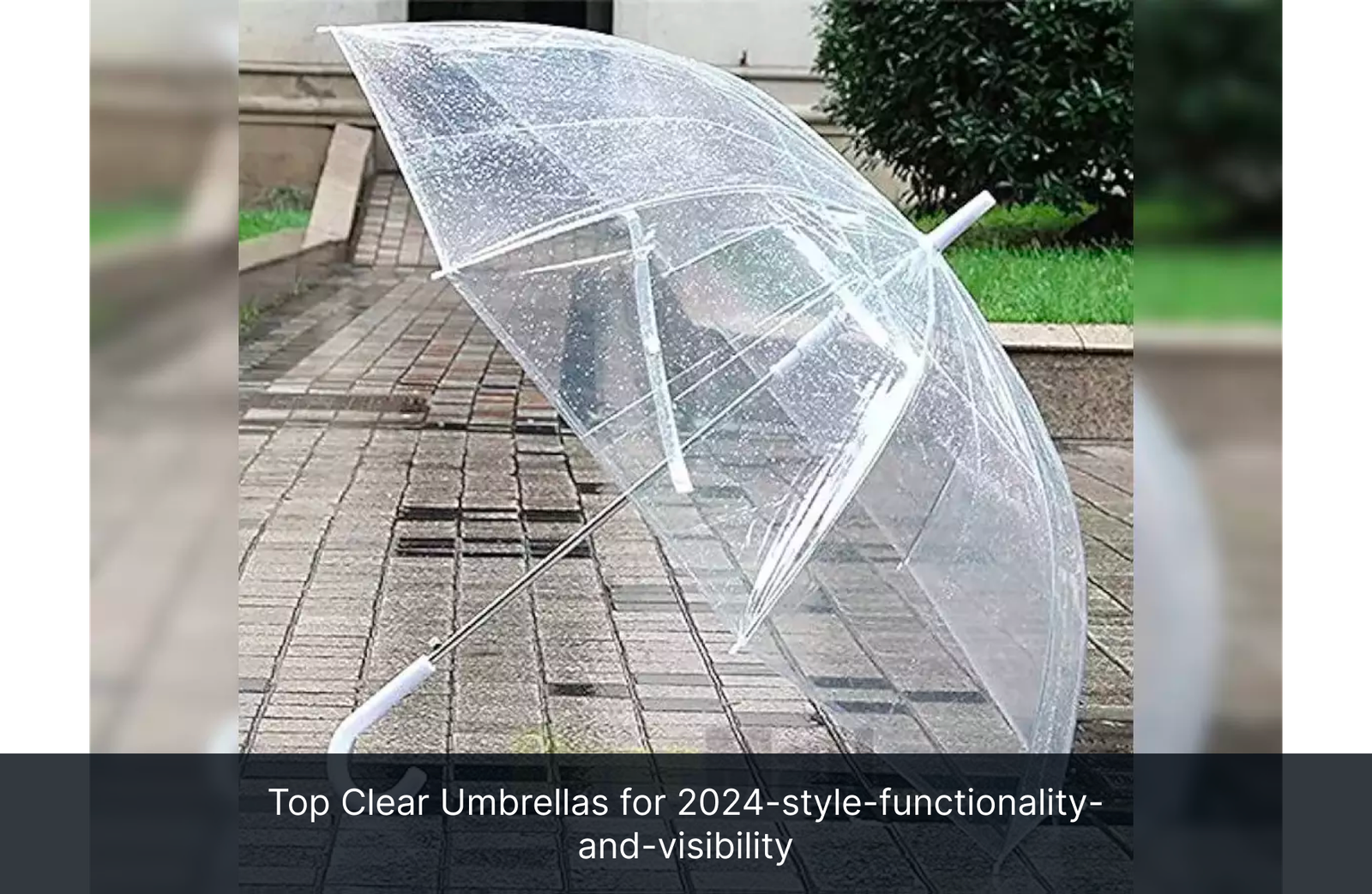 Top Clear Umbrellas for 2024-style-functionality-and-visibility