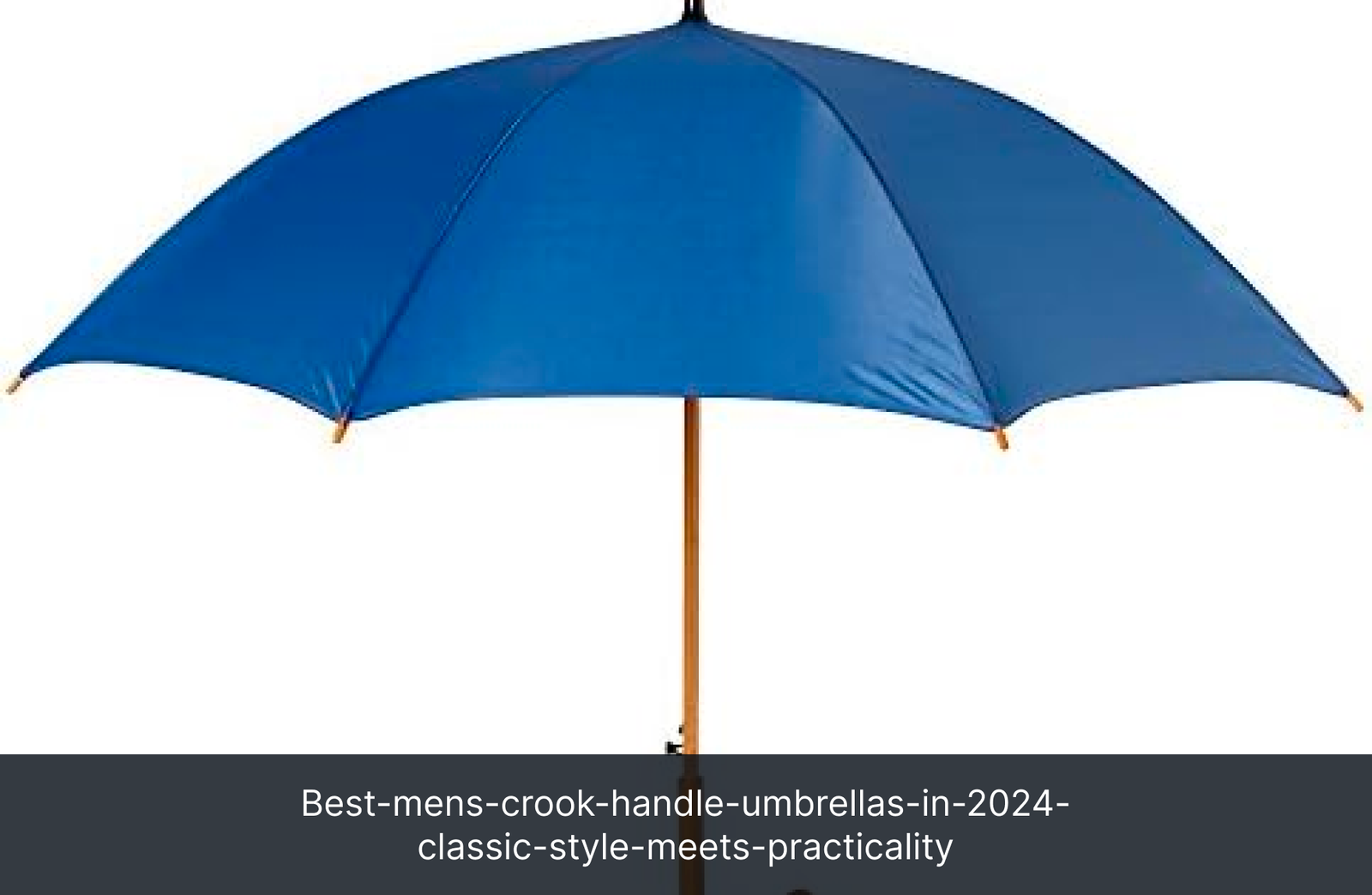 Best-mens-crook-handle-umbrellas-in-2024-classic-style-meets-practicality