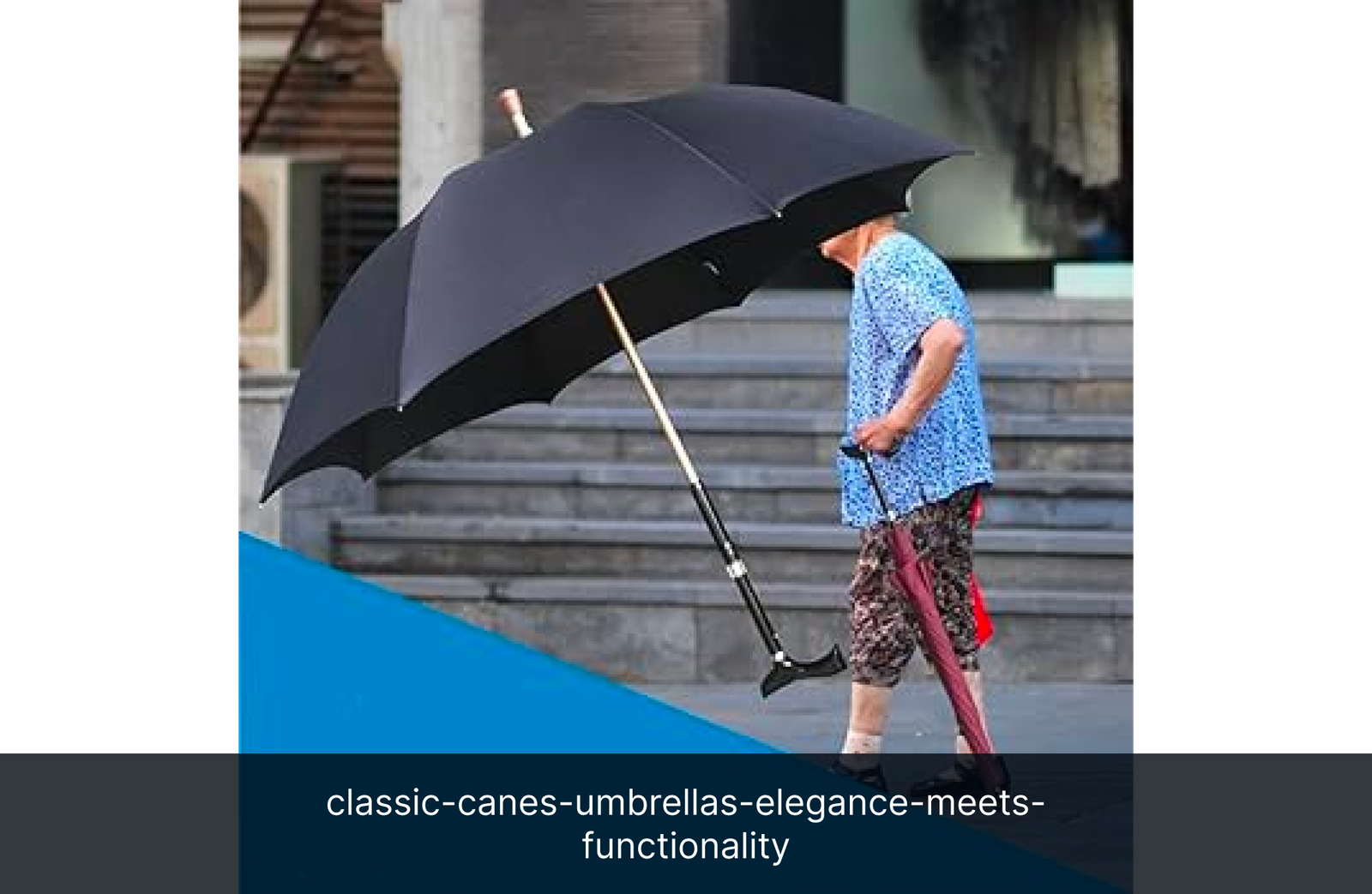 classic-canes-umbrellas-elegance-meets-functionality