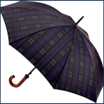 compact-and-stylish-all-weather-dark-green-check-umbrella