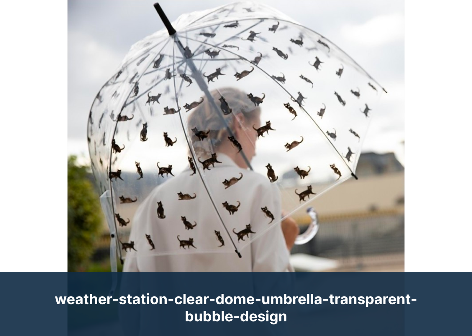 weather-station-clear-dome-umbrella-transparent-bubble-design