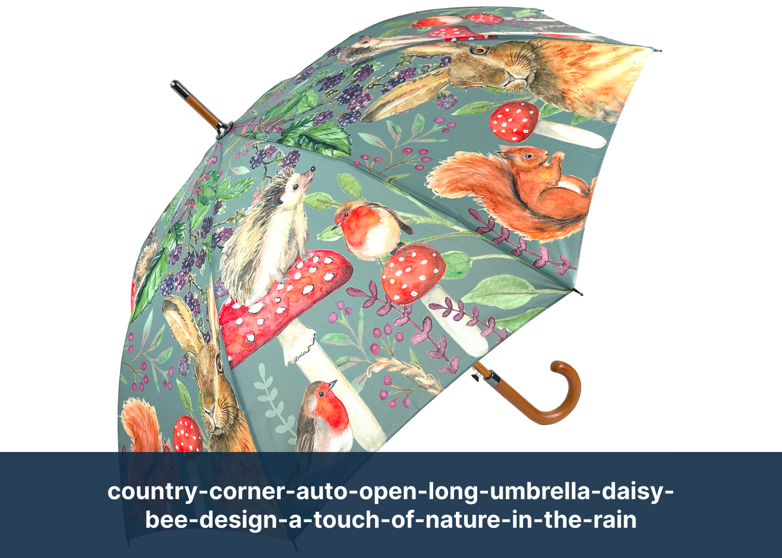 country-corner-auto-open-long-umbrella-daisy-bee-design-a-touch-of-nature-in-the-rain