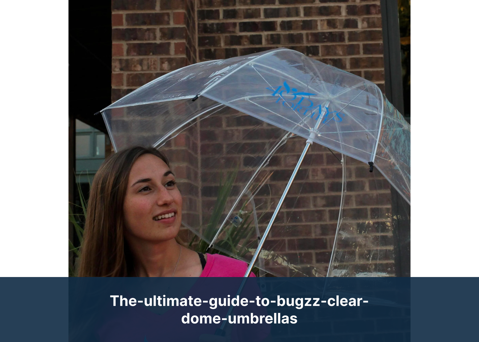 the-ultimate-guide-to-bugzz-clear-dome-umbrellas