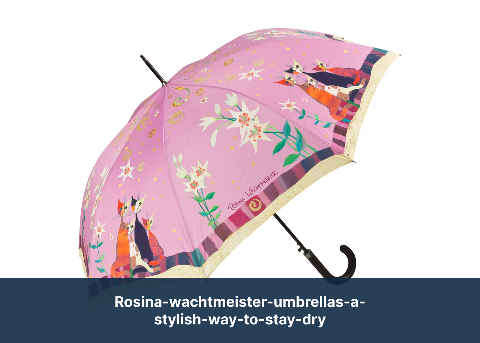 rosina-wachtmeister-umbrellas-a-stylish-way-to-stay-dry