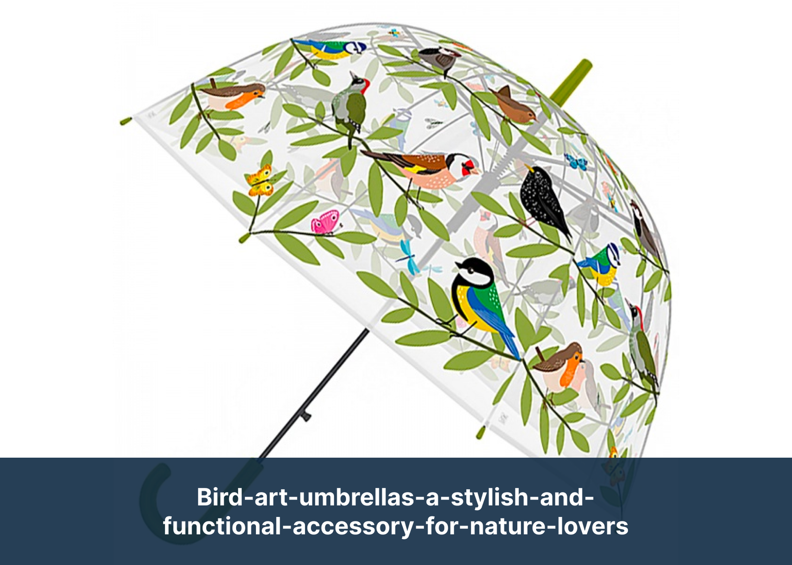 bird-art-umbrellas-a-stylish-and-functional-accessory-for-nature-lovers