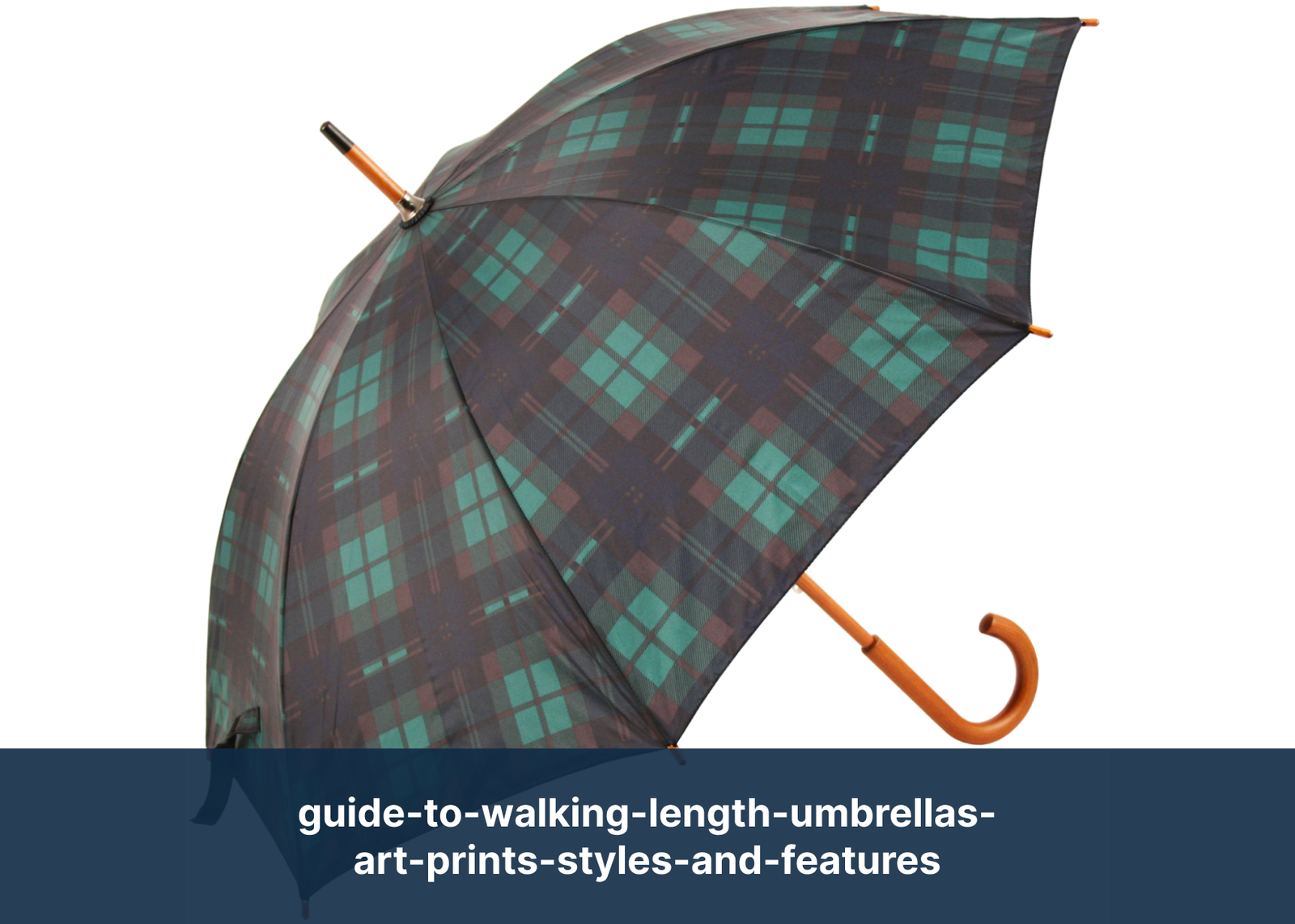 guide-to-walking-length-umbrellas-art-prints-styles-and-features