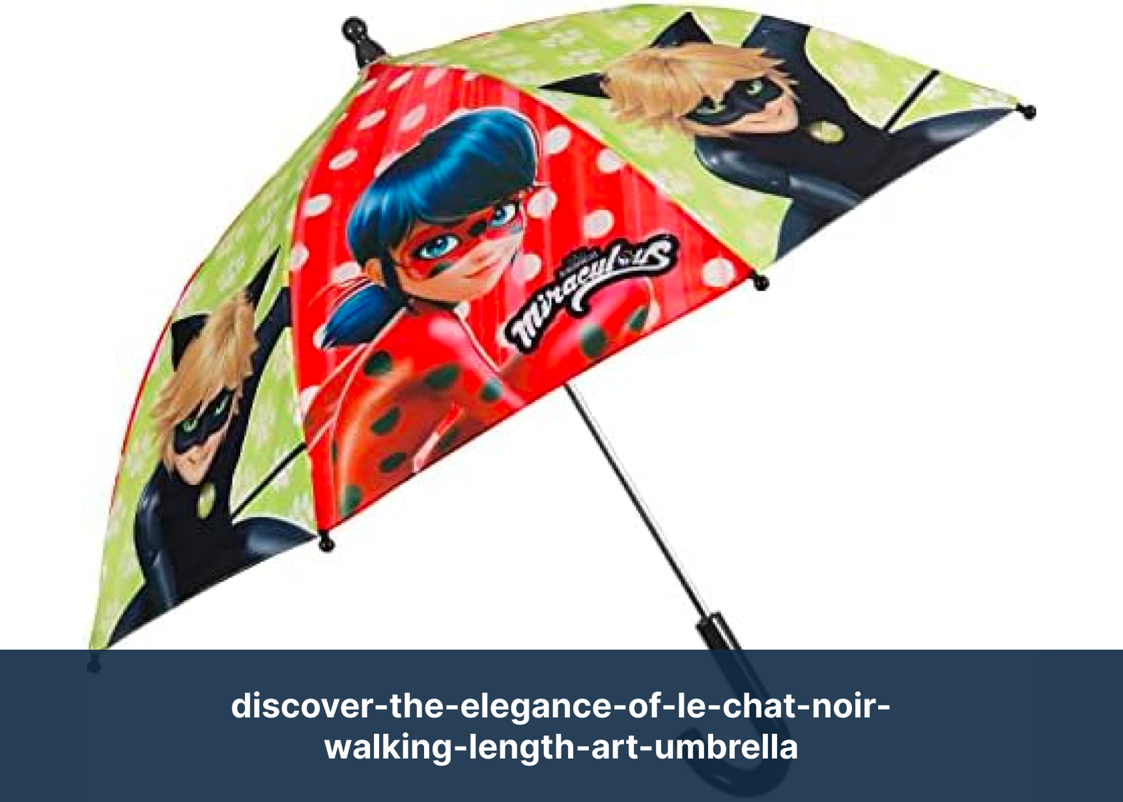 discover-the-elegance-of-le-chat-noir-walking-length-art-umbrella