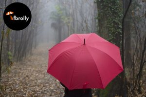 Factors to Consider When Choosing an Affordable Designer Umbrella