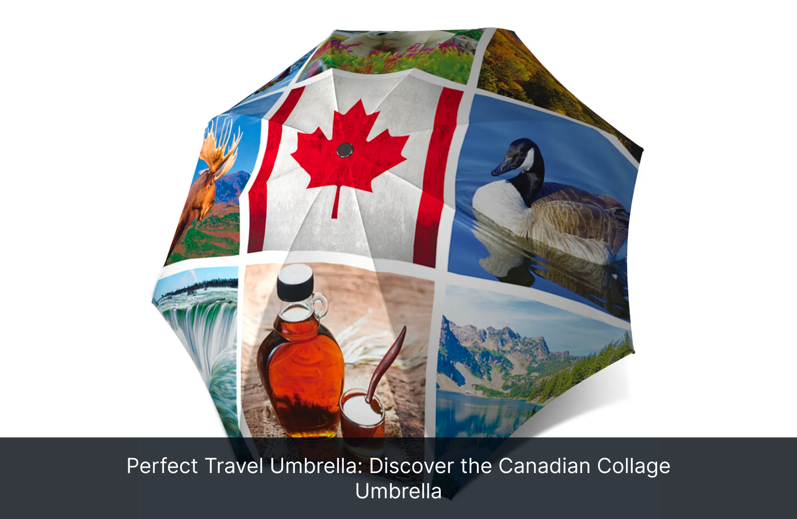 Perfect Travel Umbrella: Discover the Canadian Collage Umbrella