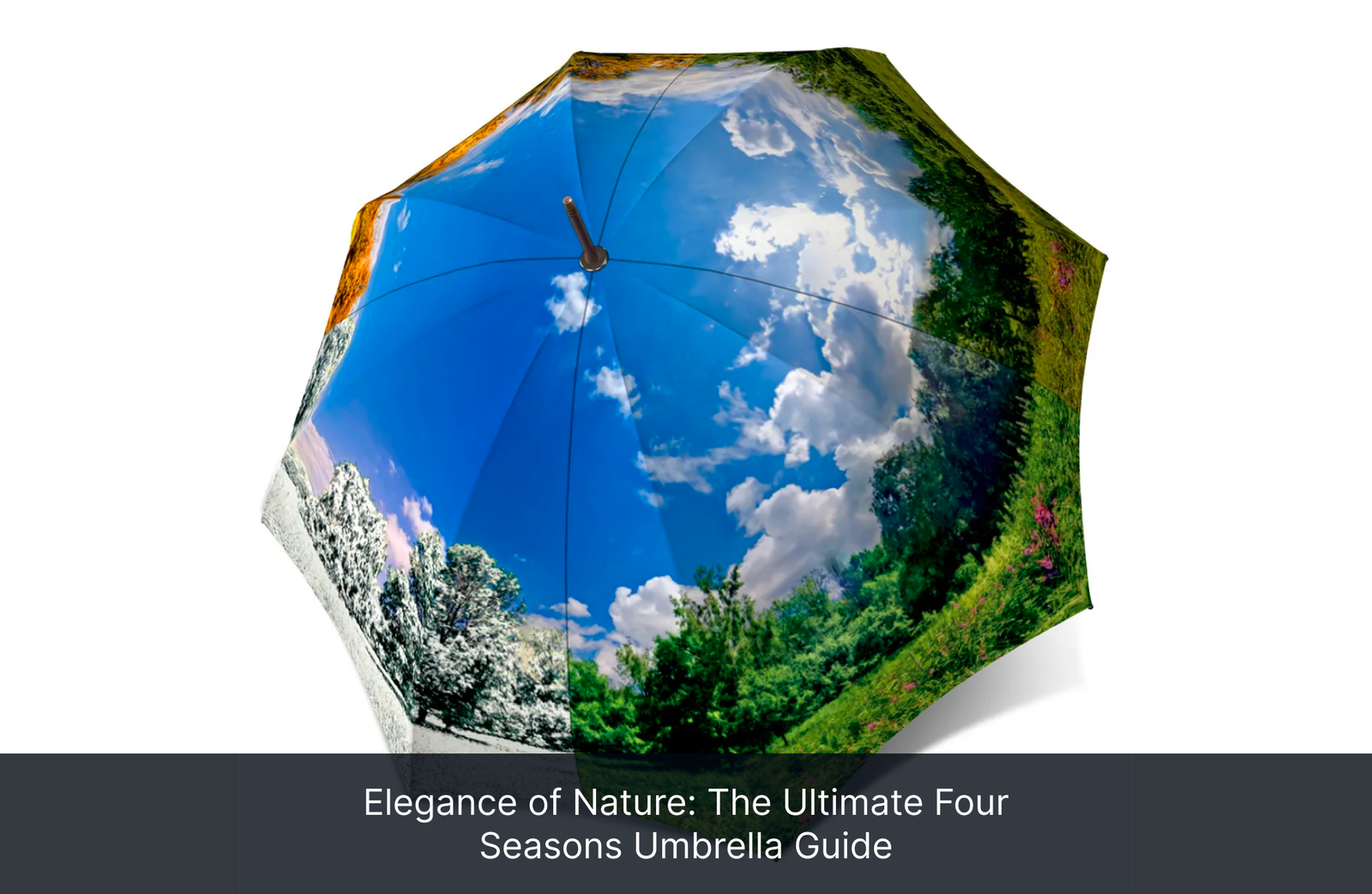 Elegance of Nature: The Ultimate Four Seasons Umbrella Guide