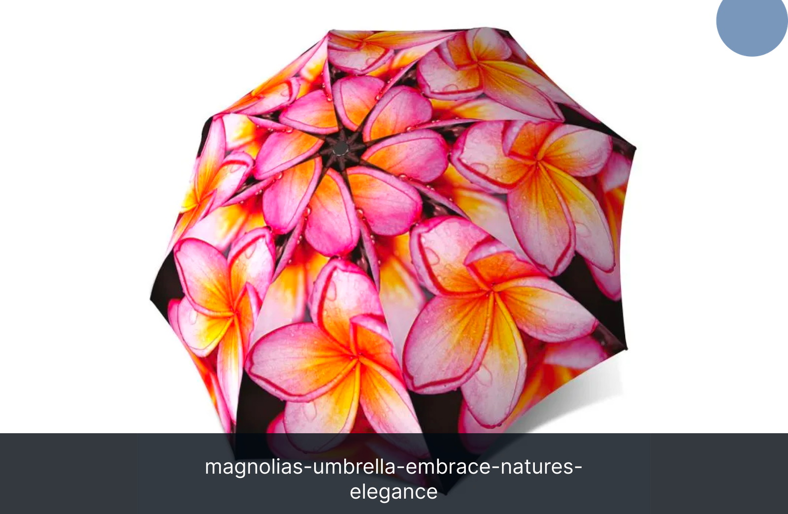 magnolias-umbrella-embrace-natures-elegance