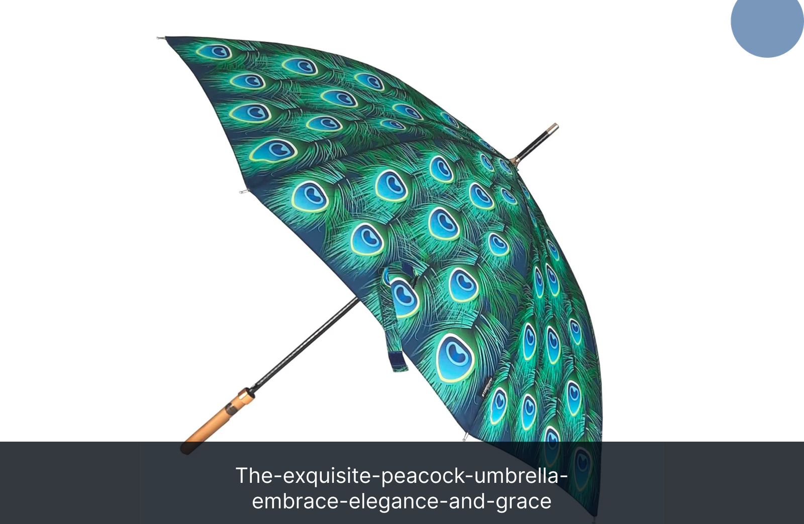 the-exquisite-peacock-umbrella-embrace-elegance-and-grace