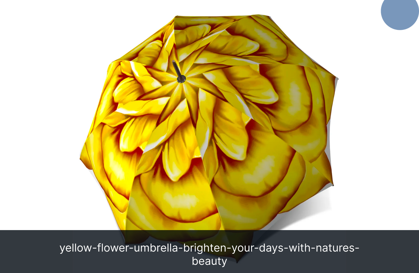 yellow-flower-umbrella-brighten-your-days-with-natures-beauty