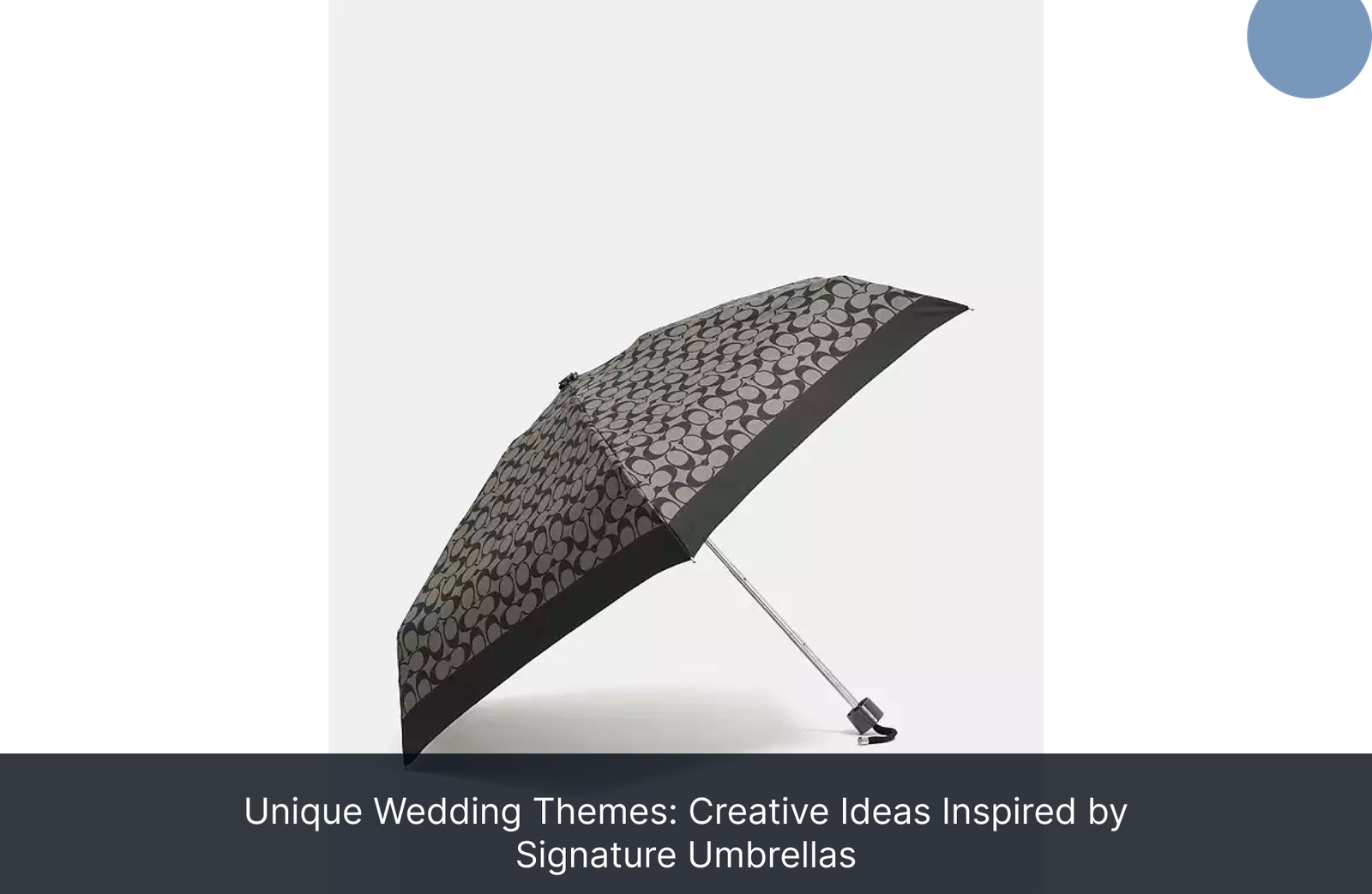 Unique Wedding Themes: Creative Ideas Inspired by Signature Umbrellas