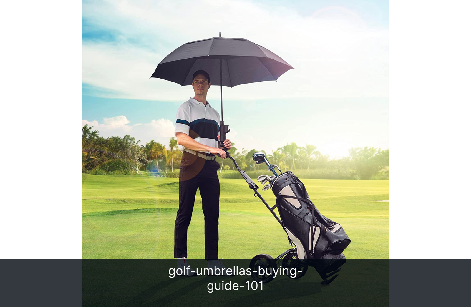 golf-umbrellas-buying-guide-101