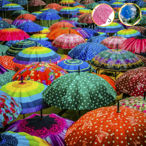 Top Features to Look for in Nature-Inspired Umbrellas