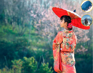 What Makes the “Japan” Travel Umbrella Unique?