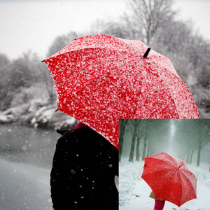 Why Choose a Winter Umbrella?