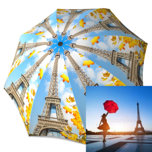 What Sets the Paris Umbrella Apart?