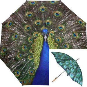 Why Choose the Peacock Umbrella?