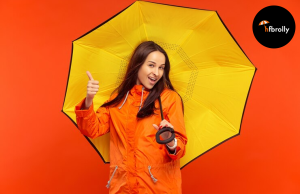 Top Hfbrolly Umbrella Models Available for Shipping to the USA and UK