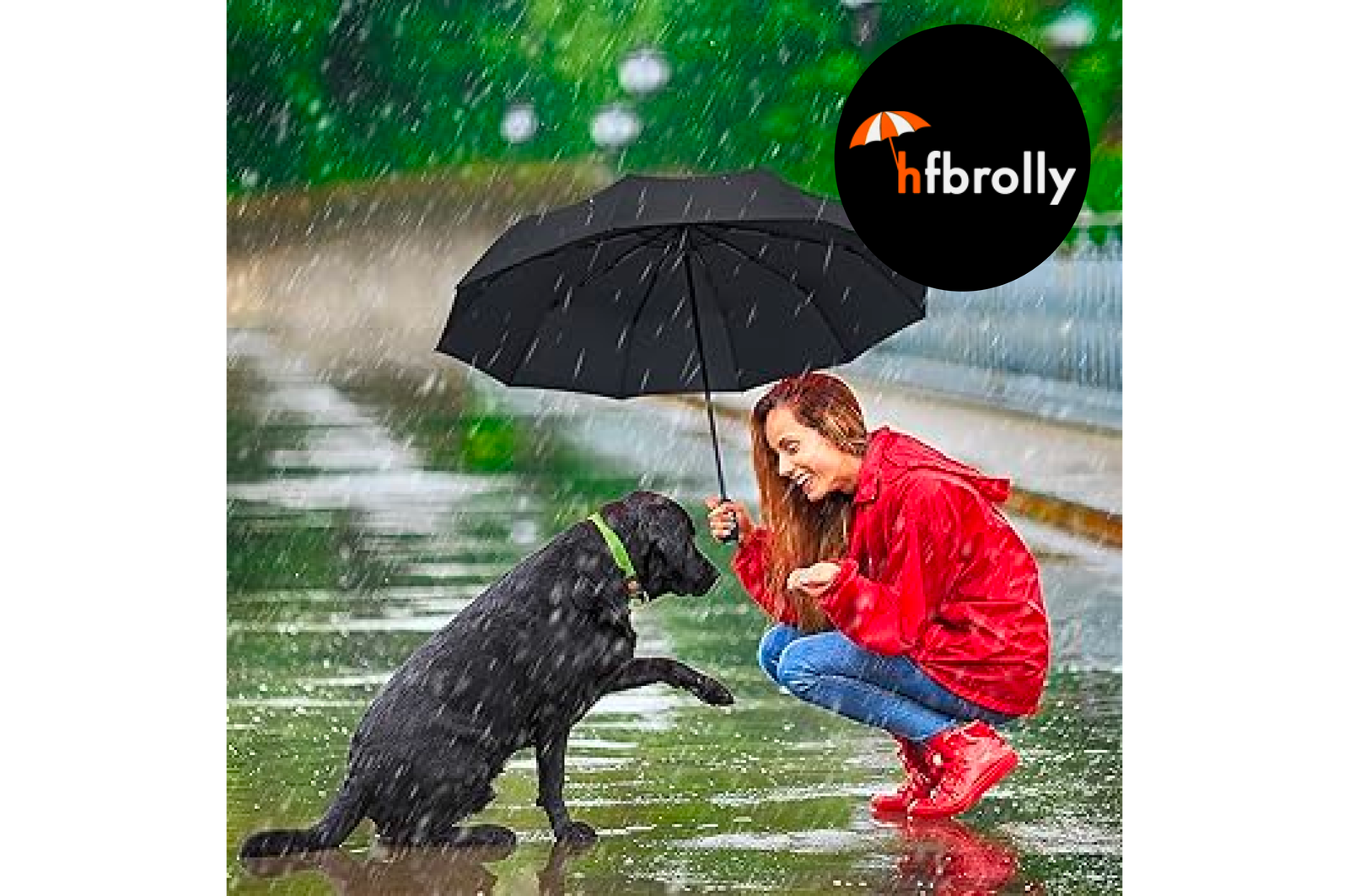 hfbrolly-zodiac-eco-friendly-compact-umbrellas-for-sustainability