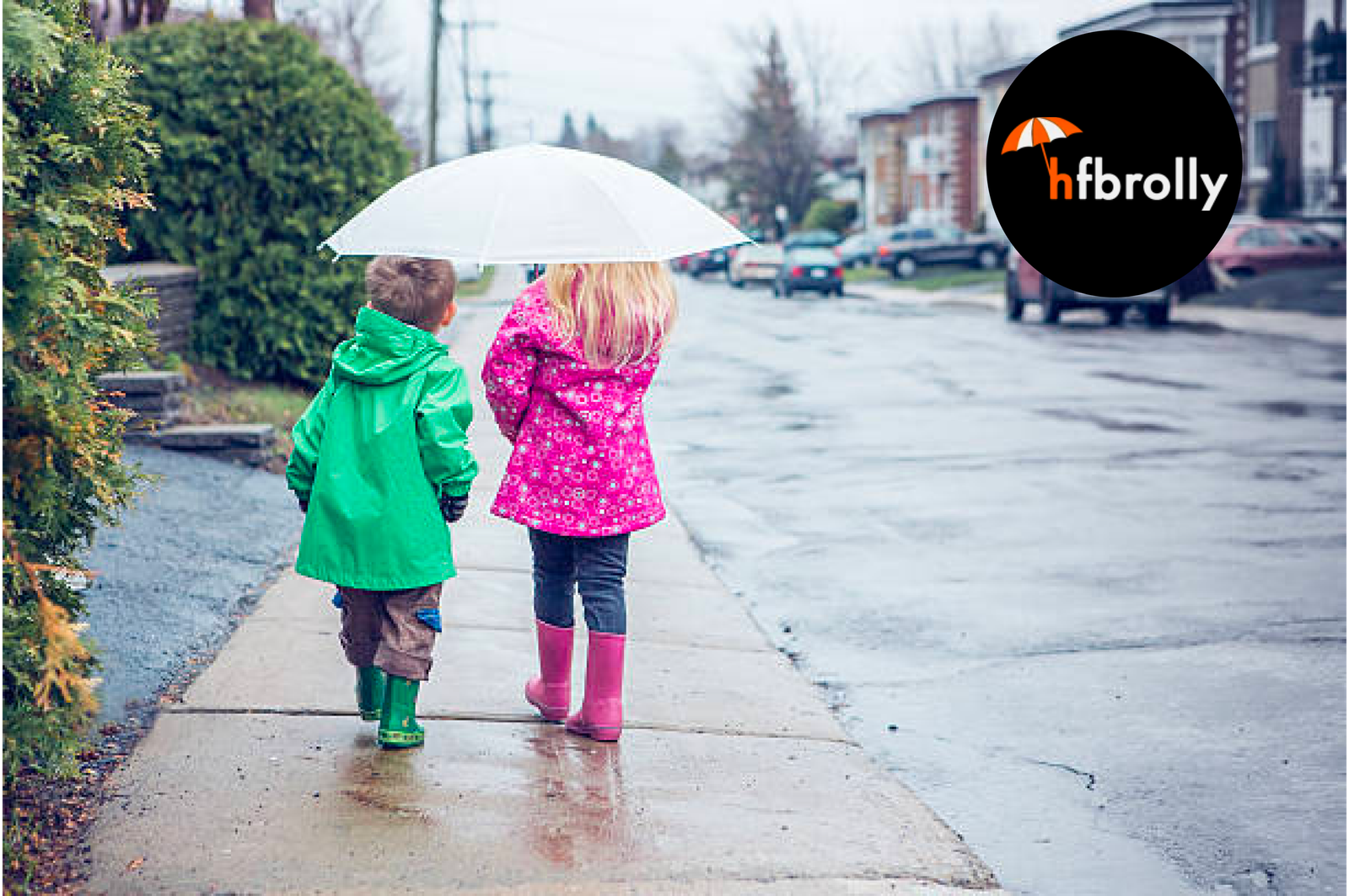 hfbrolly-magenta-compact-walking-umbrellas-with-auto-open-close