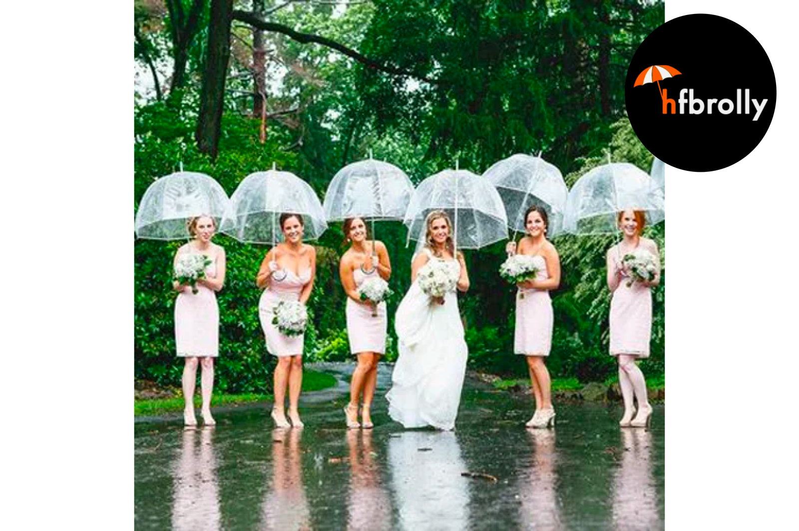 hfbrolly-clear-umbrellas-for-weddings-the-perfect-blend-of-style-and-functionality