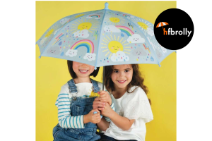 Tips for Choosing the Right HFBrolly Umbrella