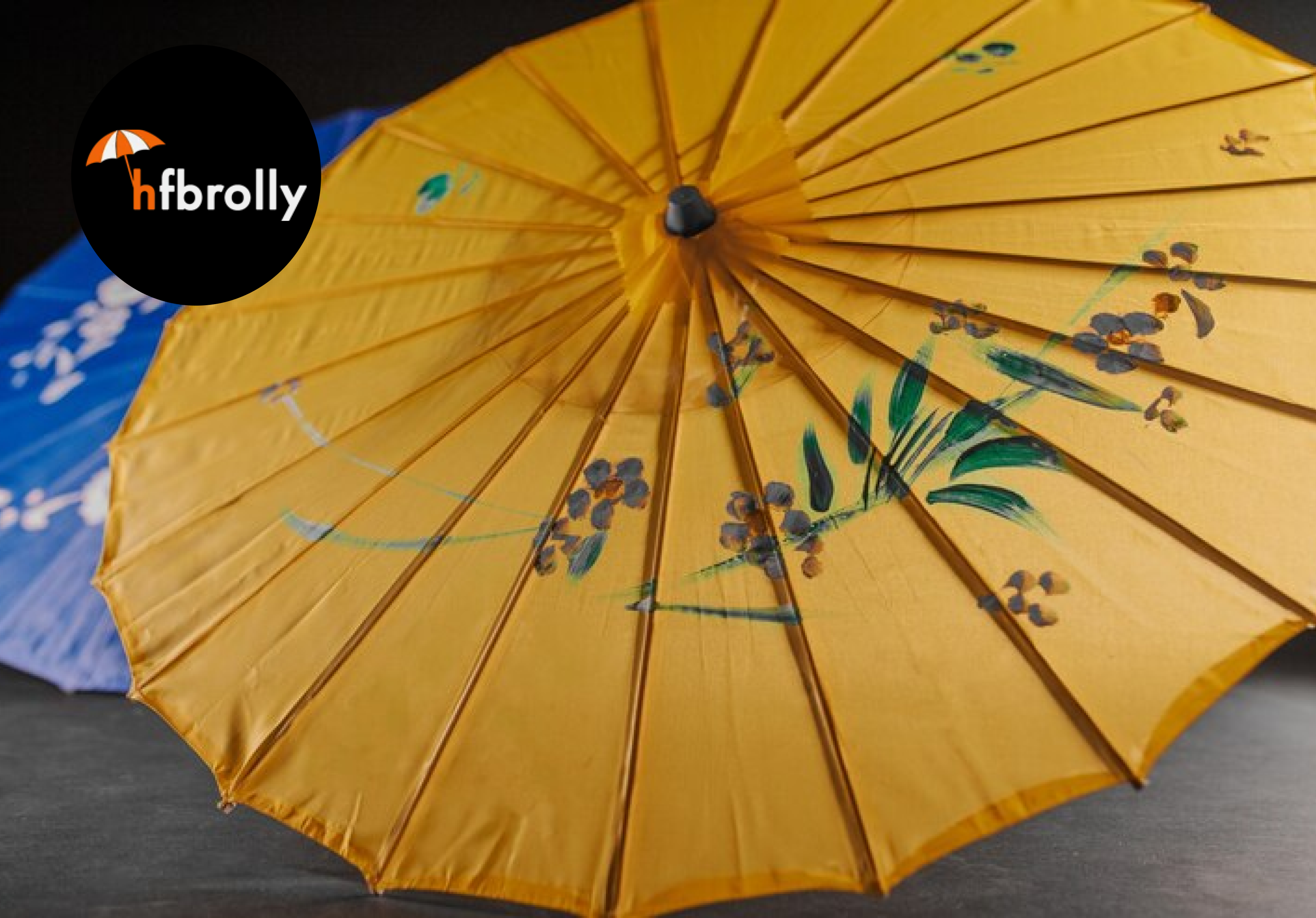 hfbrolly-black-bamboo-umbrellas-with-a-silver-trim-elegance-and-durability-redefined