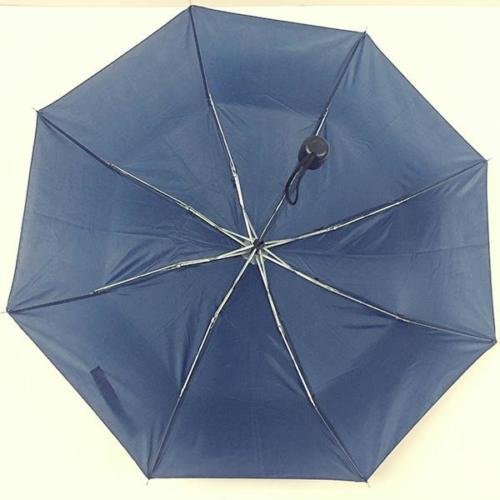 One Dolar Corporate Branded Give Away Umbrella 